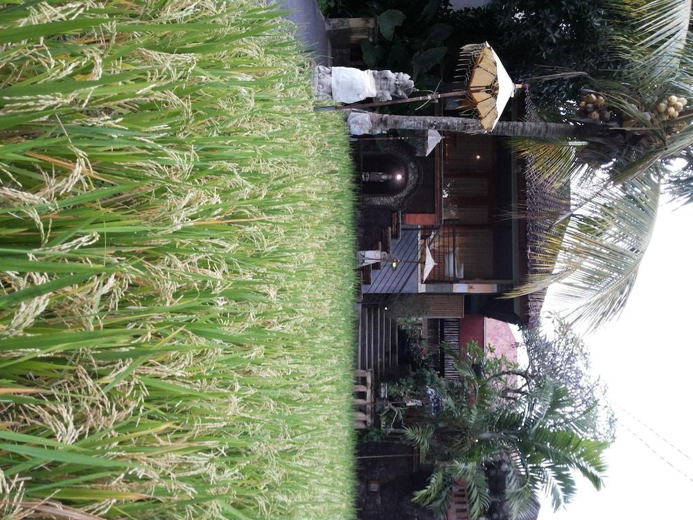 Bali Putra Villa Ubud  Exterior photo